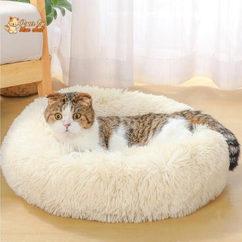 Chat a poufs