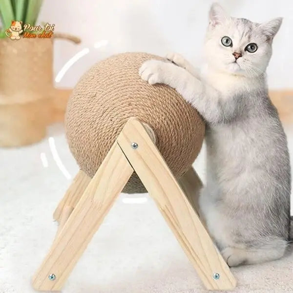 Griffoir brosse boule pour chat - Grif'Ball'Cat™ - Pour toi Mon chat