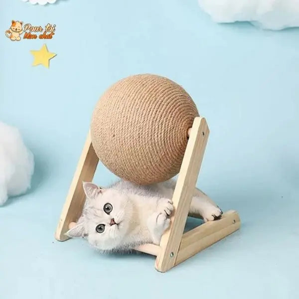 Griffoir brosse boule pour chat - Grif'Ball'Cat™ - Pour toi Mon chat
