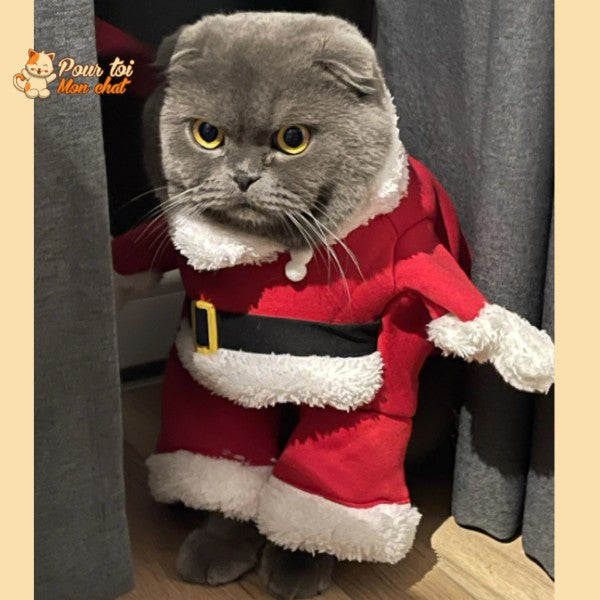 Noël - Déguisement de Père Noël pour Chat - Chat’Noël™ - Pour toi Mon chat