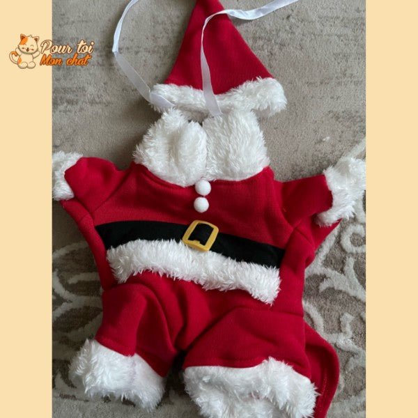 Noël - Déguisement de Père Noël pour Chat - Chat’Noël™ - Pour toi Mon chat