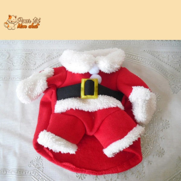 Noël - Déguisement de Père Noël pour Chat - Chat’Noël™ - Pour toi Mon chat