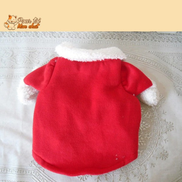 Noël - Déguisement de Père Noël pour Chat - Chat’Noël™ - Pour toi Mon chat