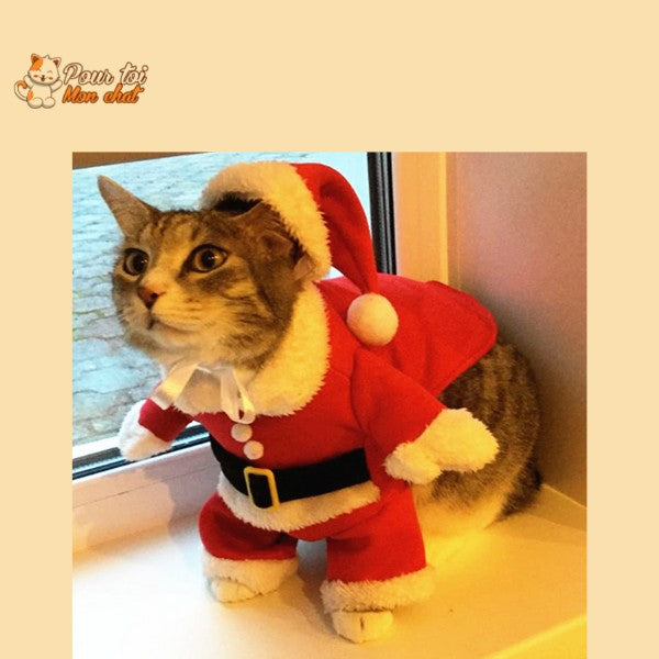 Noël - Déguisement de Père Noël pour Chat - Chat’Noël™ - Pour toi Mon chat
