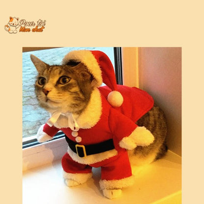 Noël - Déguisement de Père Noël pour Chat - Chat’Noël™ - Pour toi Mon chat