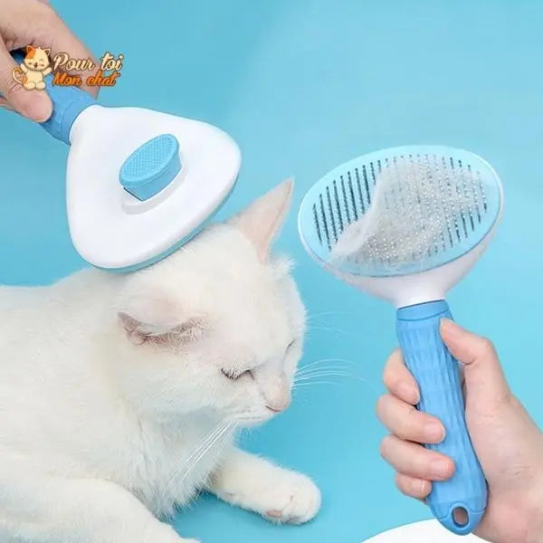 Brosse et peigne pour Poils de Chat - CleanyBrush™ – Pour toi Mon chat