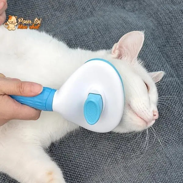 Brosse et peigne pour Poils de Chat - CleanyBrush™ - Pour toi Mon chat