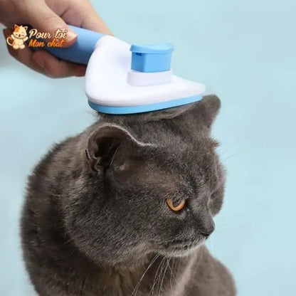 Brosse et peigne pour Poils de Chat - CleanyBrush™ - Pour toi Mon chat