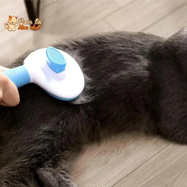 Brosse et peigne pour Poils de Chat - CleanyBrush™ - Pour toi Mon chat
