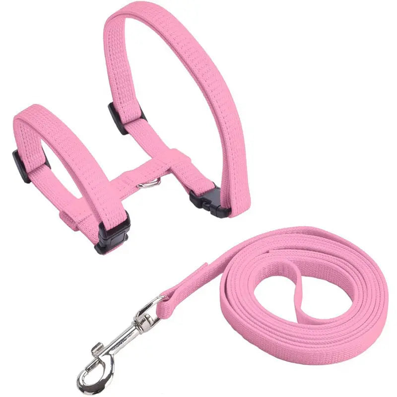 Collier anti-fuite pour chaton Pour toi Mon chat