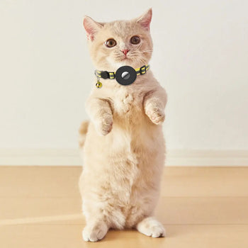 Collier de repérage GPS pour chaton Pour toi Mon chat