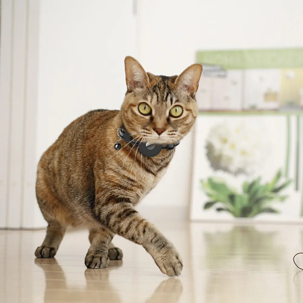 Collier de repérage GPS pour chaton Pour toi Mon chat