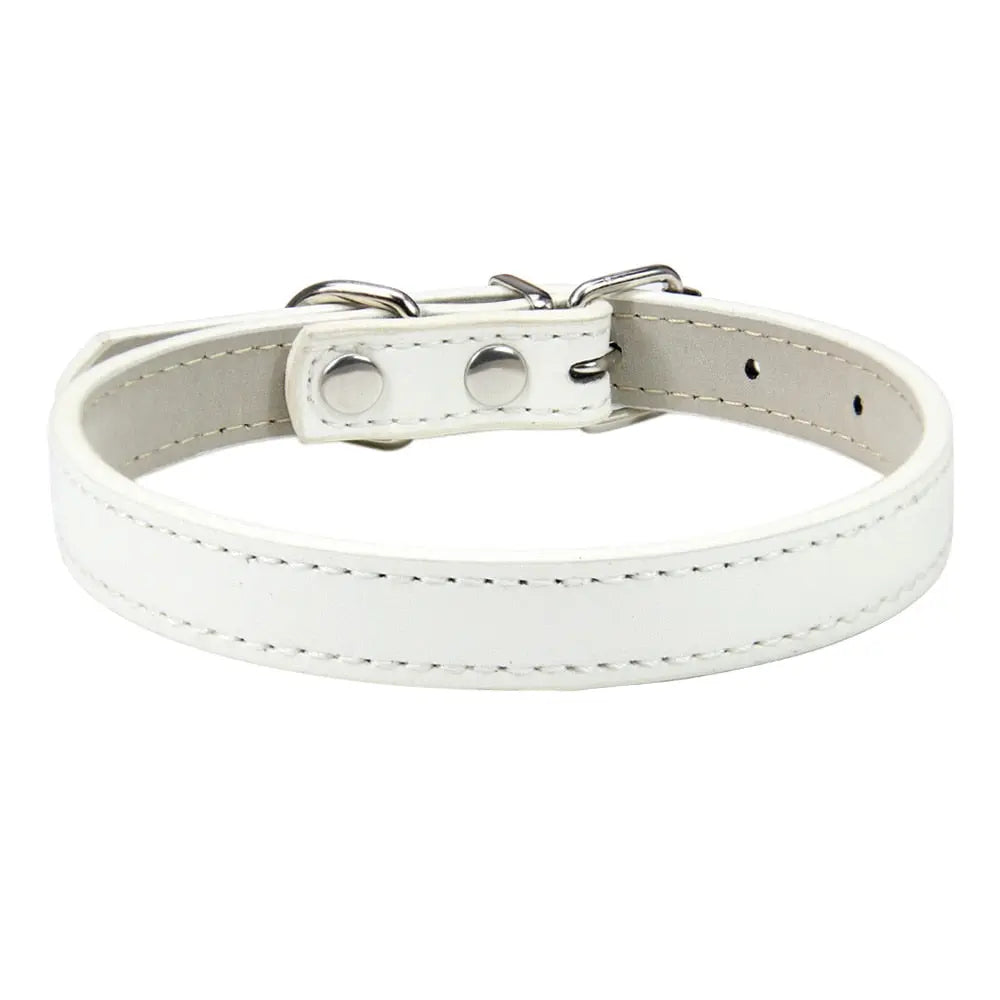 Collier en cuir souple et solide pour chat Pour toi Mon chat