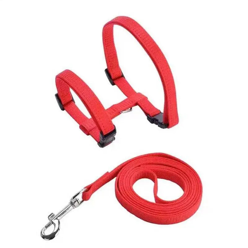Collier en nylon réglable pour chat Pour toi Mon chat