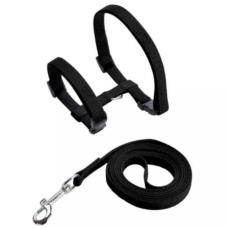 Collier en nylon réglable pour chat Pour toi Mon chat