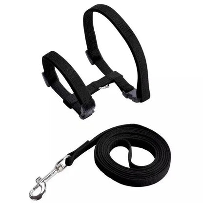 Collier en nylon réglable pour chat Pour toi Mon chat