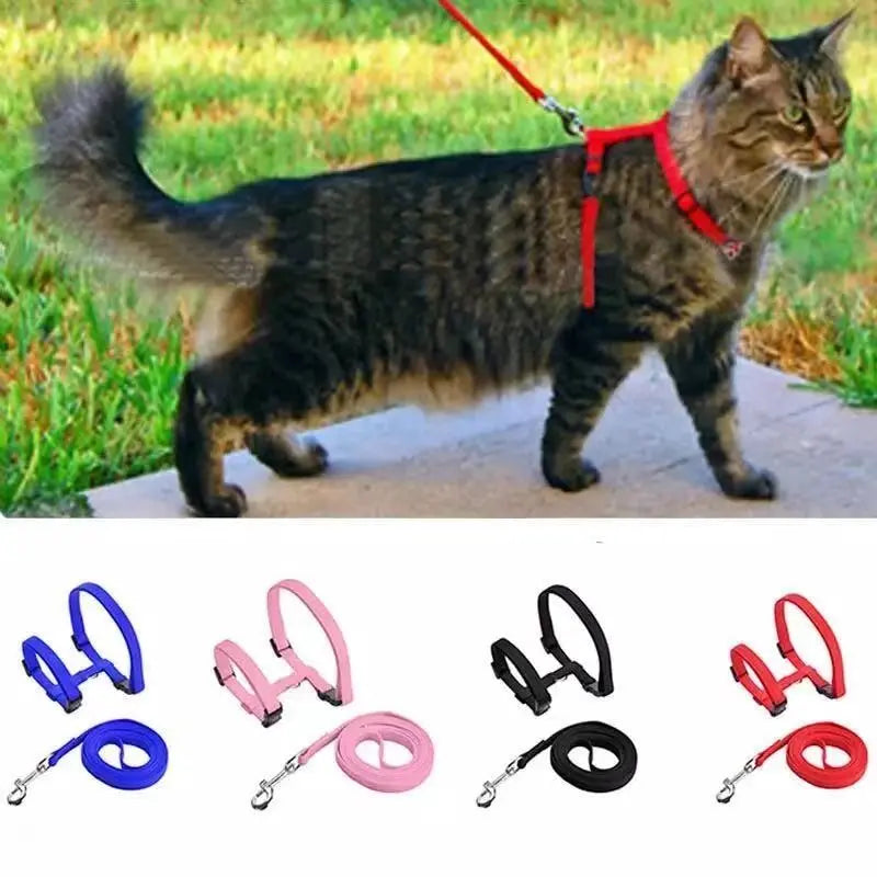 Collier en nylon réglable pour chat Pour toi Mon chat