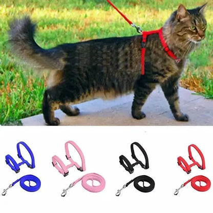 Collier en nylon réglable pour chat Pour toi Mon chat