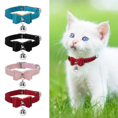 Collier en velours mignon pour chaton Pour toi Mon chat