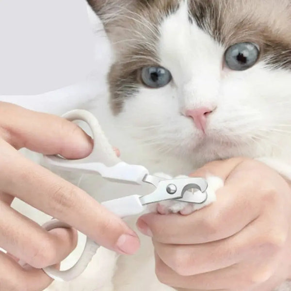 Coupe-ongles professionnel pour petit chaton Pour toi Mon chat