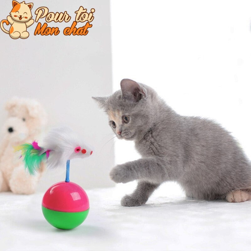 Balle culbuto avec souris - Souris'On'Ball™ - Pour toi Mon chat