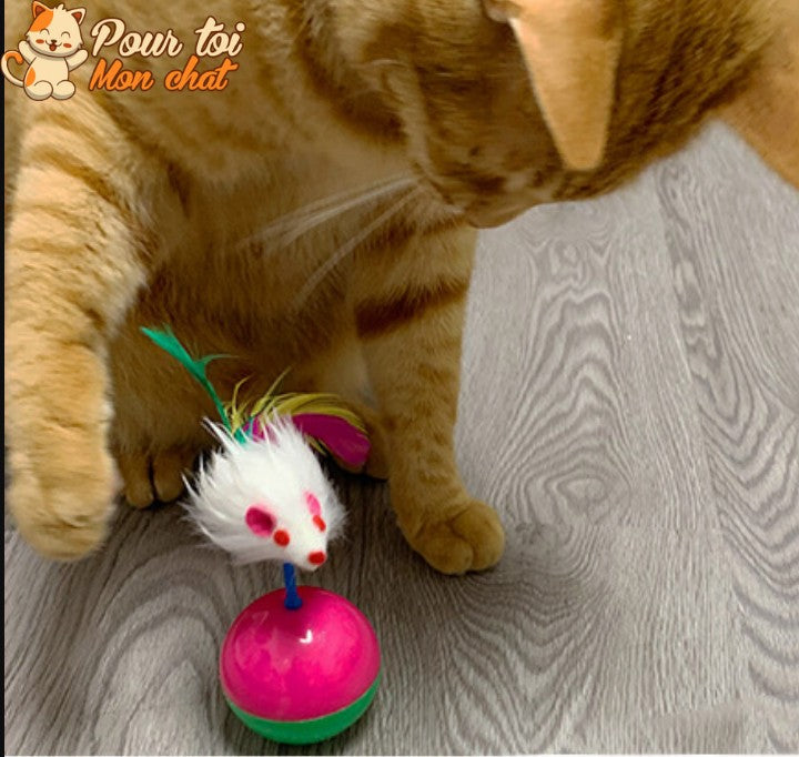 Balle culbuto avec souris - Souris'On'Ball™ - Pour toi Mon chat