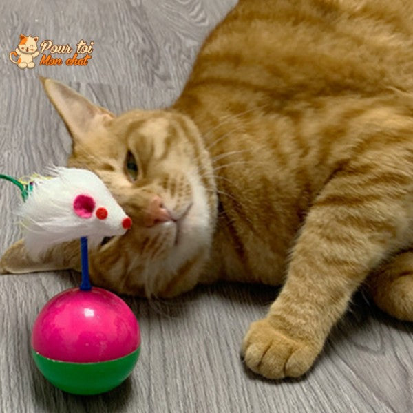 Balle culbuto avec souris - Souris'On'Ball™ - Pour toi Mon chat