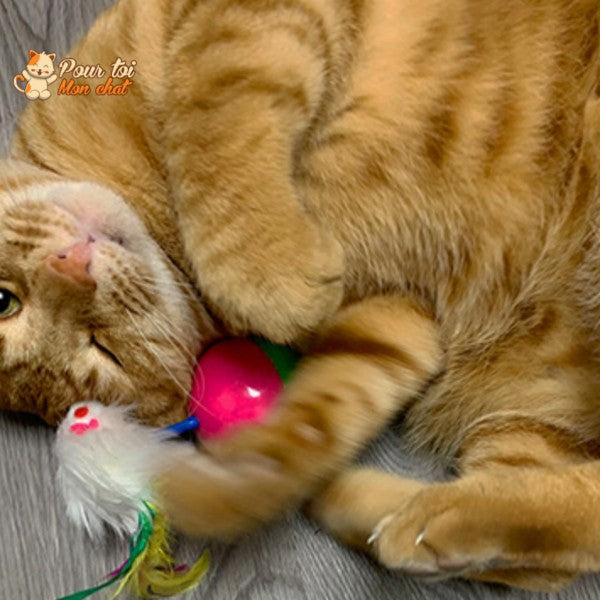 Balle culbuto avec souris - Souris'On'Ball™ - Pour toi Mon chat