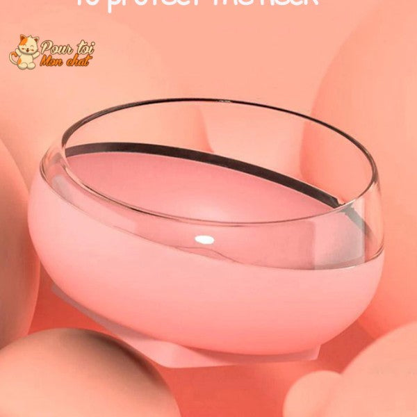 Distributeur de Croquettes et Eau pour Chat - TrioCatBowl™ - Pour toi Mon chat