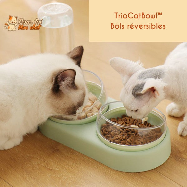 Distributeur de Croquettes et Eau pour Chat - TrioCatBowl™ - Pour toi Mon chat