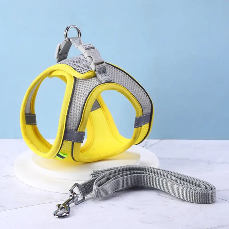Ensemble de laisse et maille réglable pour chat Pour toi Mon chat