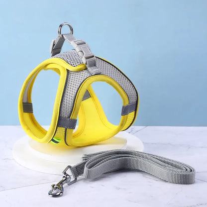 Ensemble de laisse et maille réglable pour chat Pour toi Mon chat