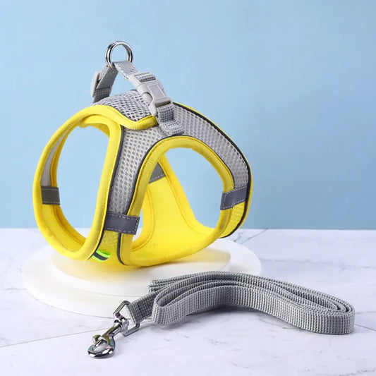 Ensemble de laisse et maille réglable pour chat Pour toi Mon chat