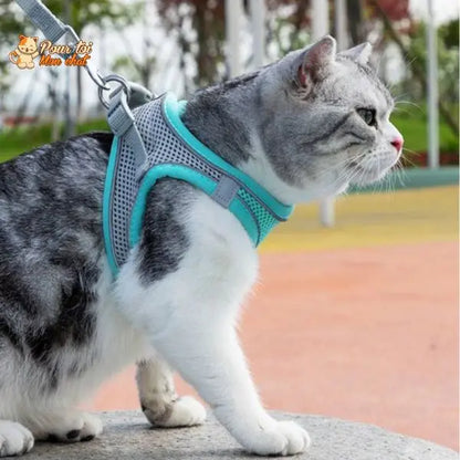 Ensemble de laisse et maille réglable pour chat Pour toi Mon chat