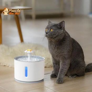 Fontaine à Eau Silencieuse pour Chat - WaterCat™ - Pour toi Mon chat