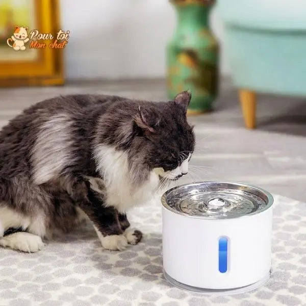 Fontaine à Eau Silencieuse pour Chat - WaterCat™ - Pour toi Mon chat