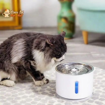 Fontaine à Eau Silencieuse pour Chat - WaterCat™ - Pour toi Mon chat