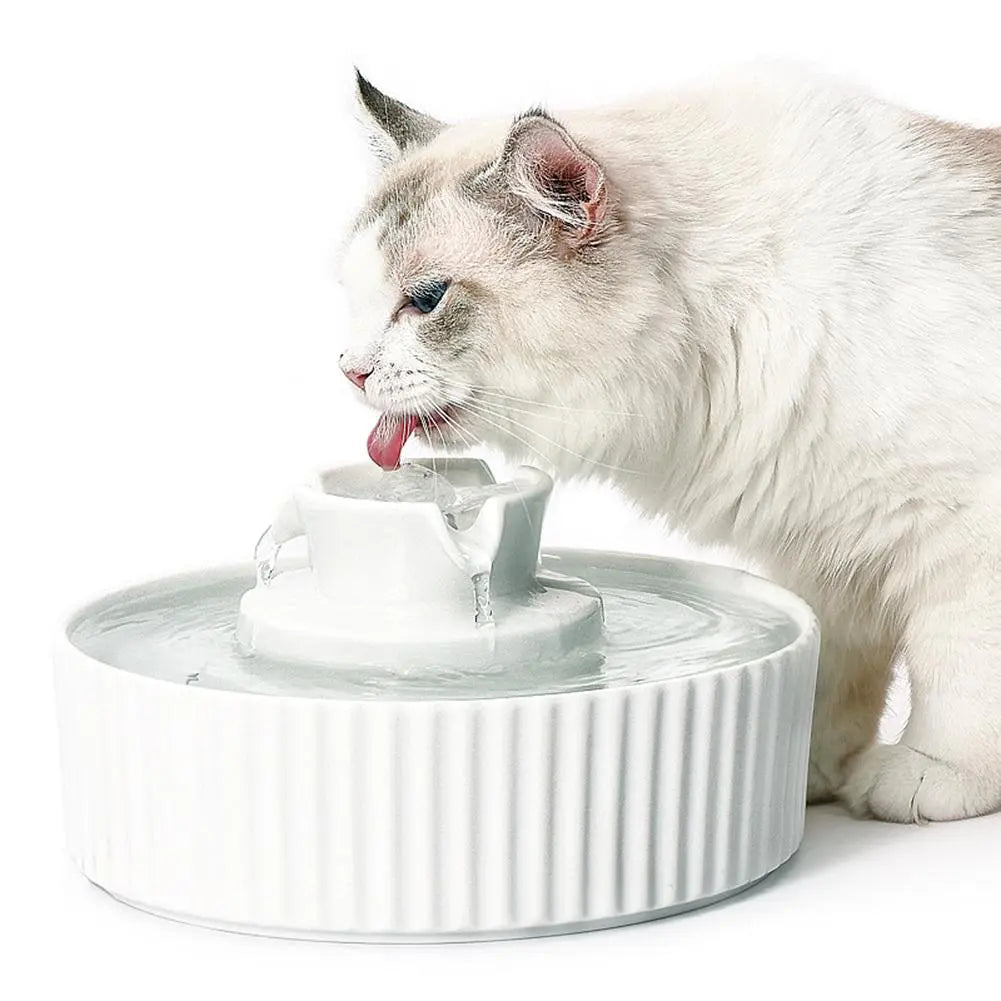 Fontaine à boire en céramique avec filtre pour chat Pour toi Mon chat