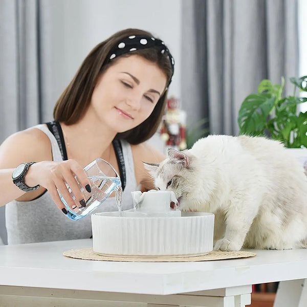 Fontaine à boire en céramique avec filtre pour chat Pour toi Mon chat