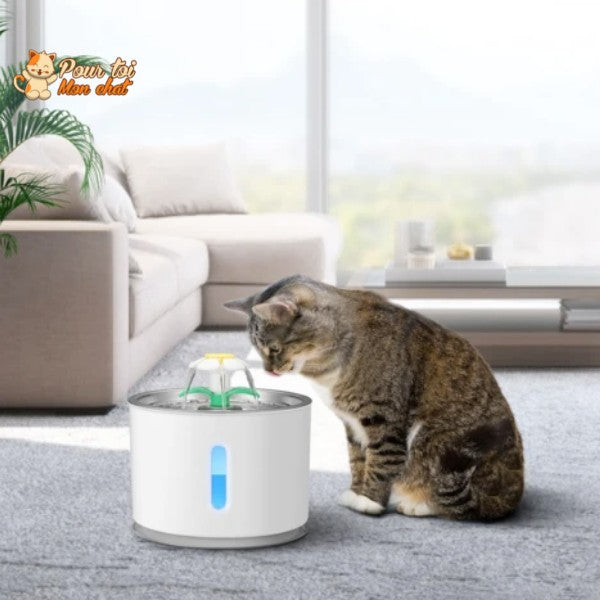 Fontaine à Eau Silencieuse pour Chat - WaterCat™ - Pour toi Mon chat
