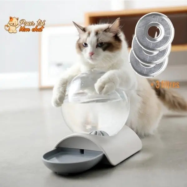 Fontaine à eau pour chat - Perfect Sphère - Pour toi Mon chat