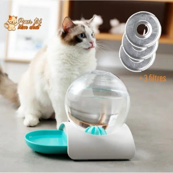 Fontaine à eau pour chat - Perfect Sphère - Pour toi Mon chat