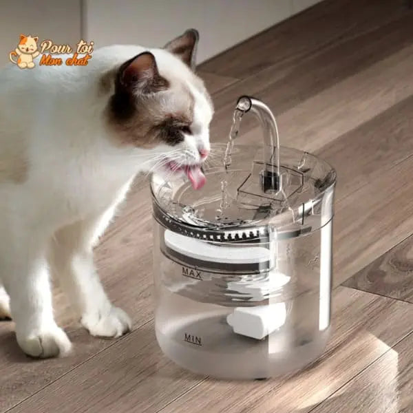 Fontaine à eau pour chat avec capteur automatique - Pour toi Mon chat