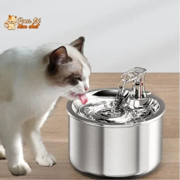Fontaine à eau pour chat avec capteur de mouvement - Pour toi Mon chat