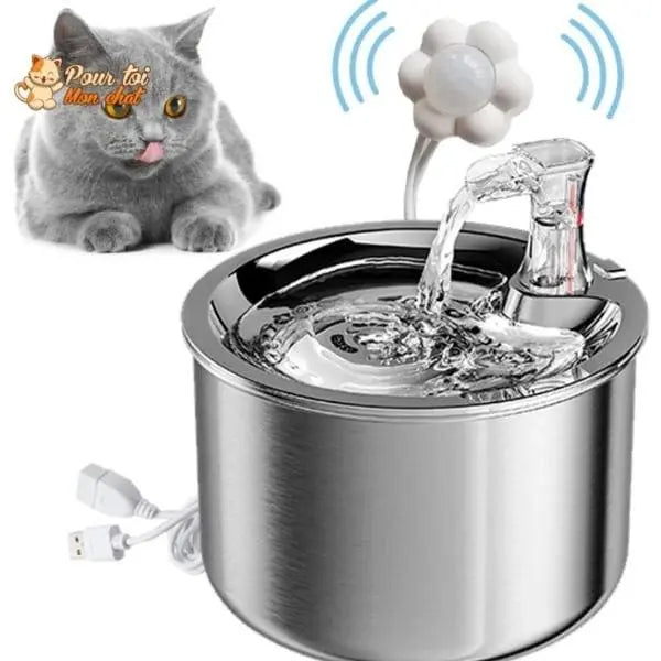 La fontaine à eau pour chats artisanale miaustore - détecteur de mouvement