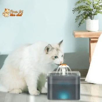 Fontaine à eau pour chats avec éclairage LED - Pour toi Mon chat