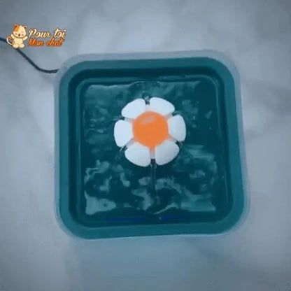 Fontaine à eau pour chats avec éclairage LED - Pour toi Mon chat