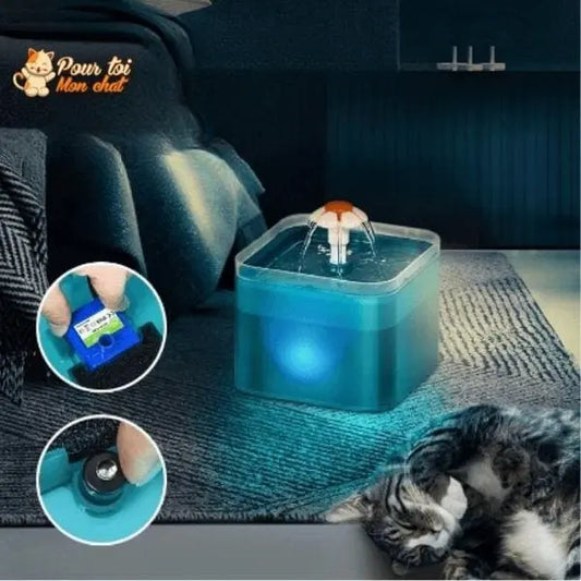 Fontaine à eau pour chats avec éclairage LED - Pour toi Mon chat