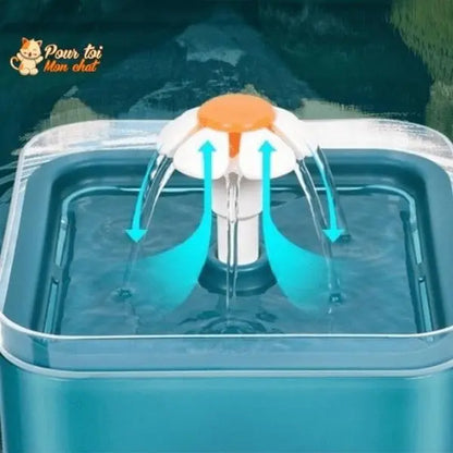 Fontaine à eau pour chats avec éclairage LED - Pour toi Mon chat