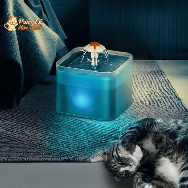 Fontaine à eau pour chats avec éclairage LED - Pour toi Mon chat